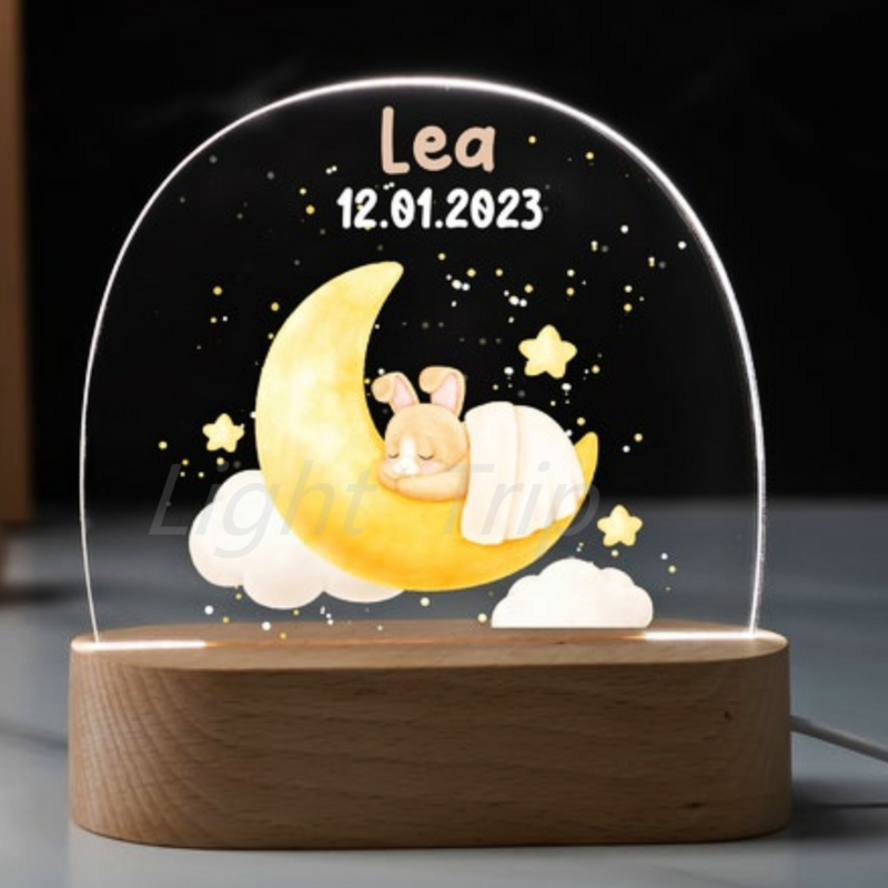 Luce notturna USB personalizzata nome personalizzato lampada acrilica Design animale bambino bambini camera da letto decorazione della casa regalo di anniversario di compleanno