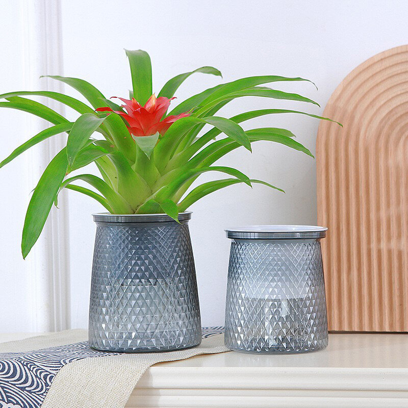 Прозрачный пластиковый горшок для растений, двухслойная Автоматическая гидропонная ваза для самополива растений, домашний декор для сада