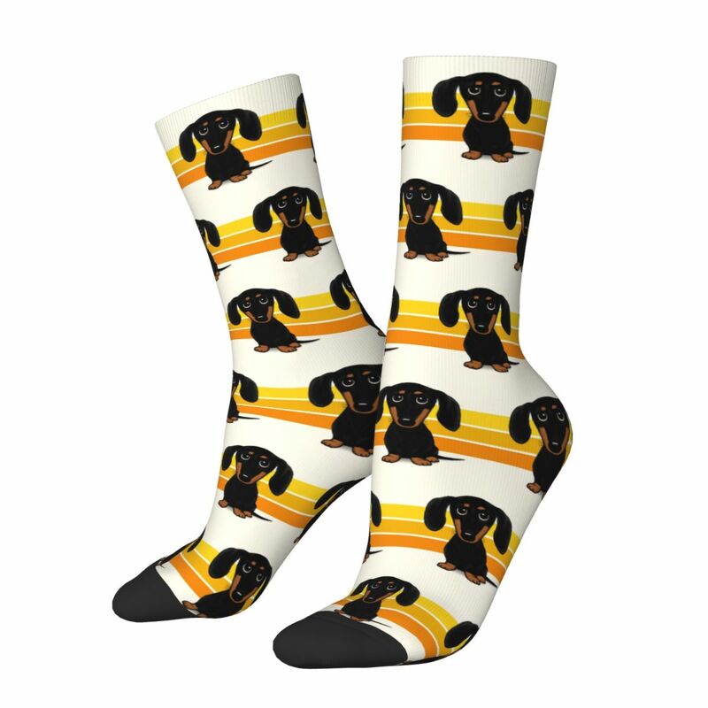 Preto e Tan liso revestido Dachshund Cartoon Dog Socks, Harajuku macio meias, todas as temporadas longas meias para homem e mulher, presentes bonitos