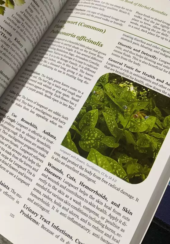Großhandel 50 Bücher/viel das verlorene Buch der Kräuter heilmittel die Heilkraft der Pflanzen medizin Taschenbuch