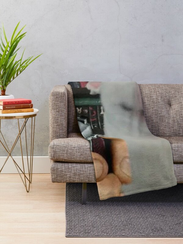 Walter gun meme koc kocyk na drzemkę rozkładana sofa miękka krata
