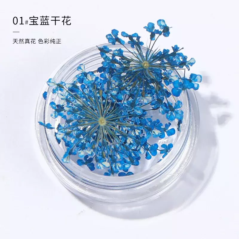 2Pcs/box 3D Dried Flowers Nail Art Decorations Real Dried Flower Stickers DIY Manicure Charms Designs For Nails Accessories