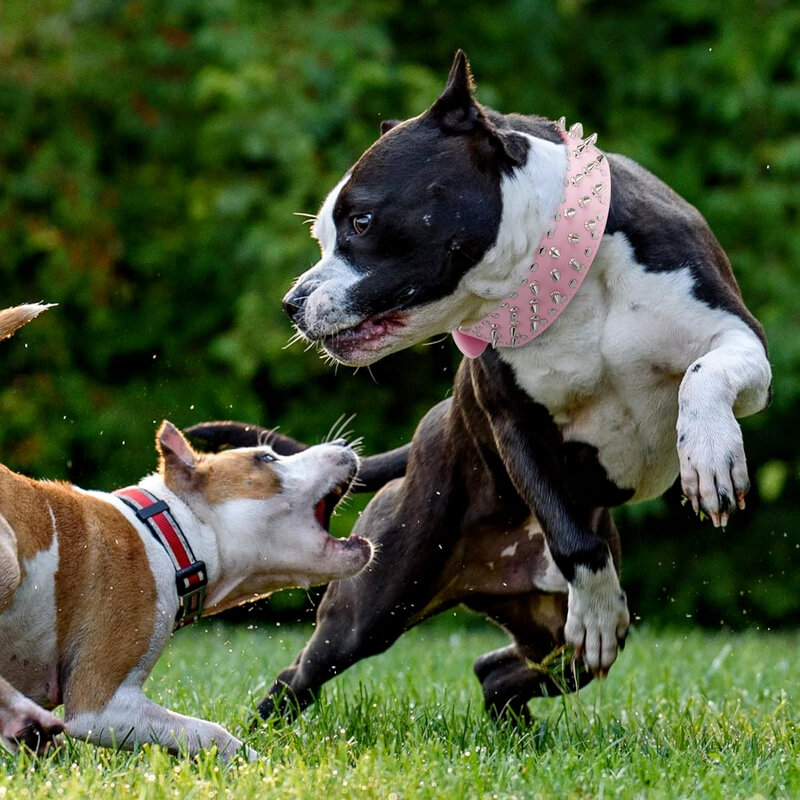 Кожаный собачий ошейник с шипами для маленьких и средних собак, регулируемый шейный ремешок против укусов для щенков, поводок, аксессуары