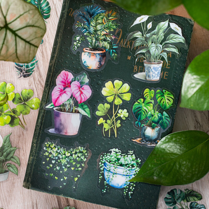 12Packs/Lot Tropisch Regenwoud Serie Markers Fotoalbum Decoratie Huisdier Sticker