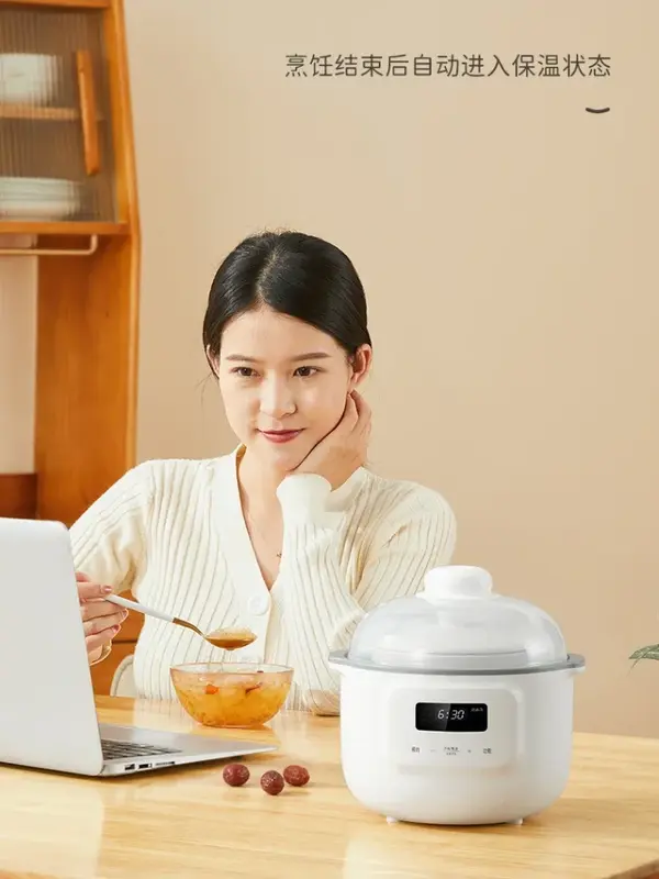 Electric Stew Cooker Stewpan Pot Cuisin Bowl Pan Porridge Cooking Artifact Slow Small Household Baby Complementary Food Cooker