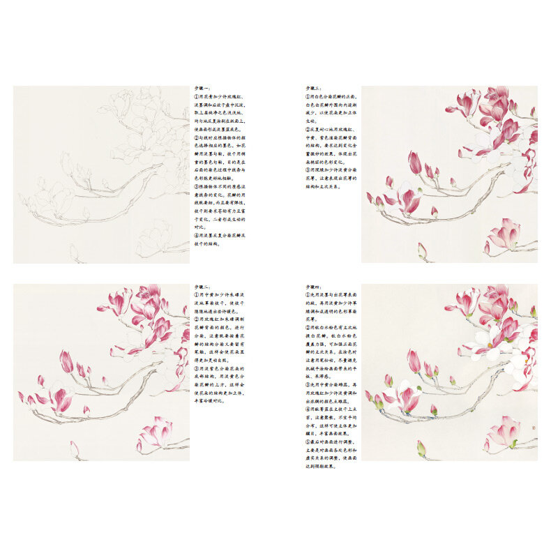 Flower Birds Line Drawing libro di pittura del testo centro complesso semplice composizione di disegno Tutorial Line Draft Copy Album