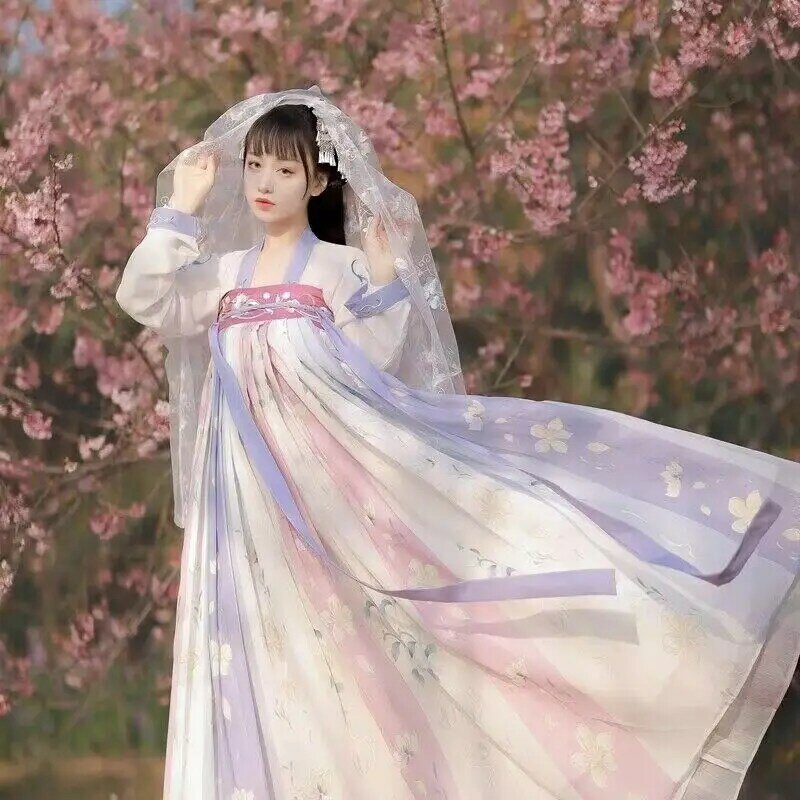 Hanfu Frauen chinesische traditionelle Cosplay Fee Kostüm alte Lied Dynastie Hanfu Kleid Tanz kleid große Größe xl