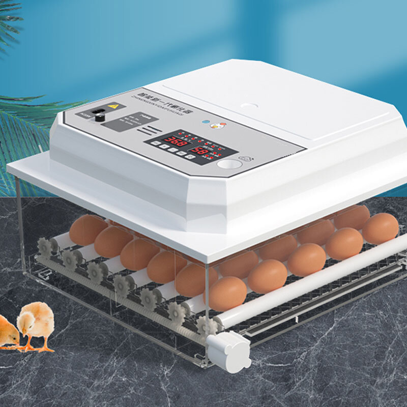 Incubatrice incubatrice per uova piccola famiglia automatica intelligente pulcino anatra oca piccione quaglia incubatrice
