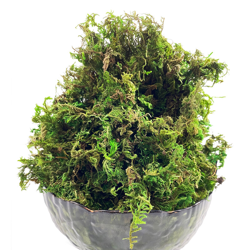 Искусственный Зеленый мох для горшечных растений, Горшечное растение для орхидеи, смесь торфяного Моха, ручная работа