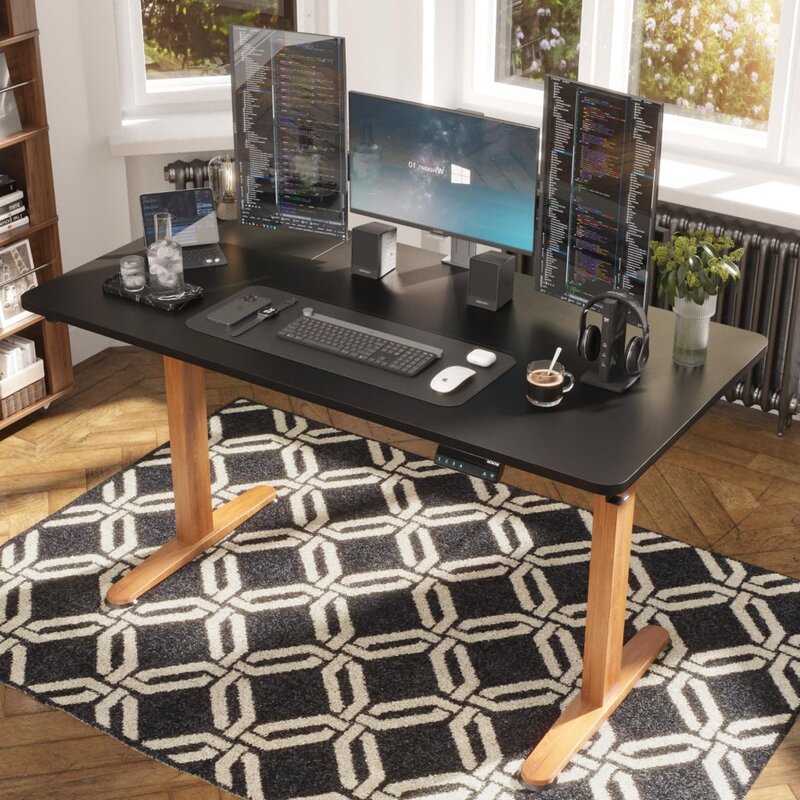 Escritorio de pie eléctrico para el hogar y la Oficina, escritorio ergonómico de 55x28 pulgadas de altura ajustable para sentarse