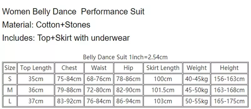 Belly Dance Practice Clothes Female Oriental Dance Top+sleeves+long Skirt 3pcs for Women Belly Dancing Outfit Bellydance Set