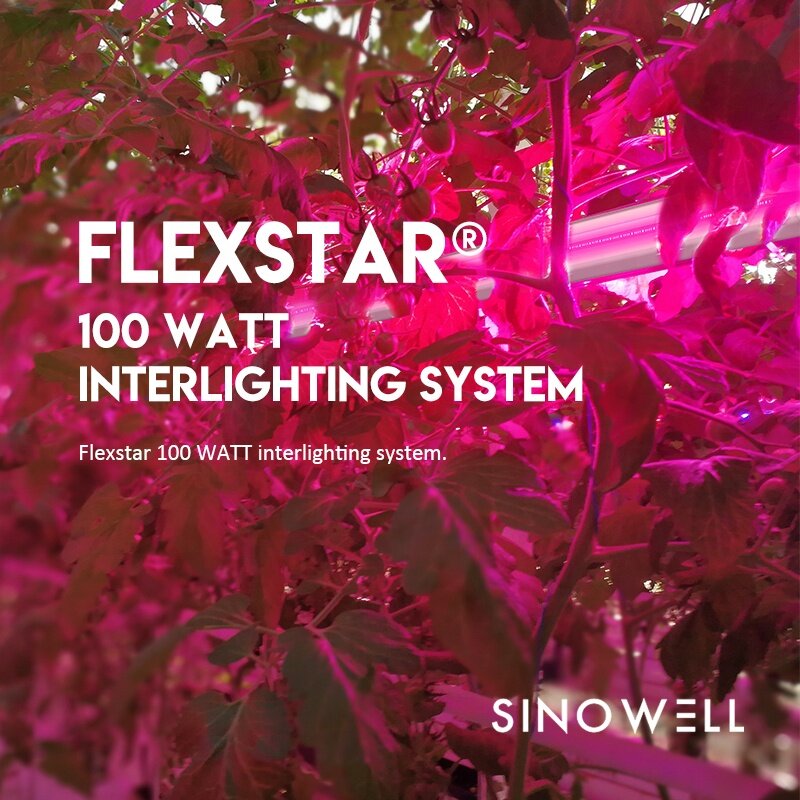Samsung Official Partner Sinowell Interplanting Single Bar Led Grow Light 100W