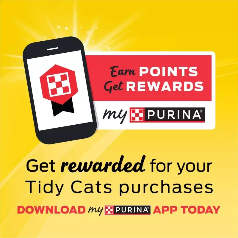 Purina-Tidy Cats Multi-Cat Clumping Kitty Litter, 4 em 1 Desodorizante de Força, 35 lb Pail