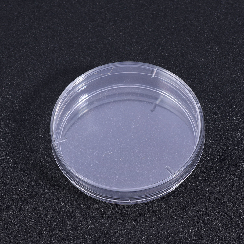 Set di piastre Petri da 20 pezzi con coperchi cultura per esperimenti scientifici scolastici biologia microbiologia studio 60MM