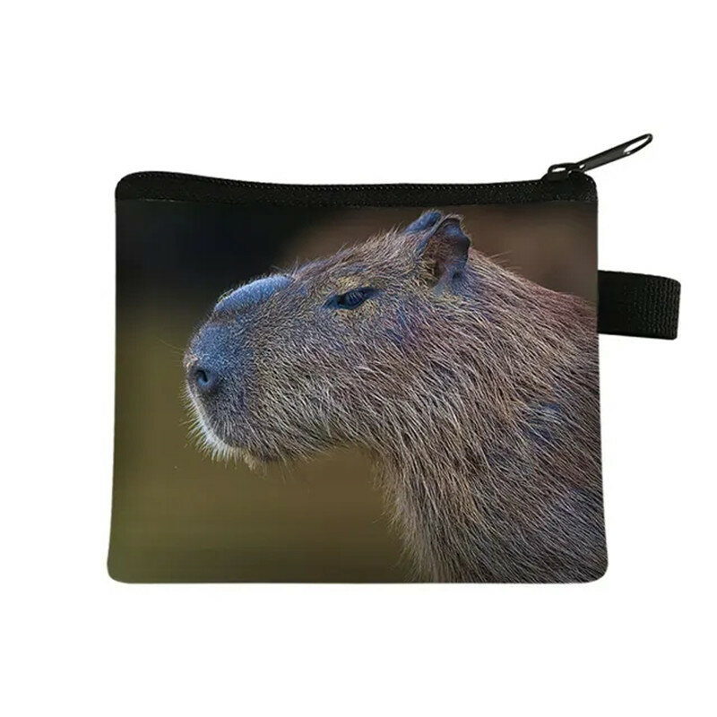 Słodka kapibara zwierzęca portmonetka damska torebka na karty kredytowe etui na słuchawki męskie portmonetki small torebka portfel Mini portfel