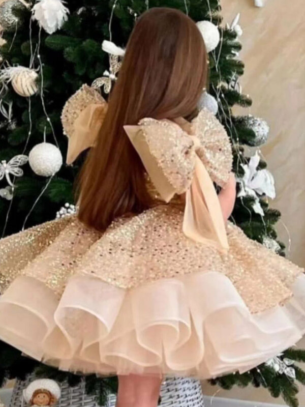 فستان أميرات منفوش مطرز بالترتر ، فستان رسمي للمناسبات ، حفلة عيد ميلاد ، مناسبة رسمية ، طفلة رضيعة ، فاخرة