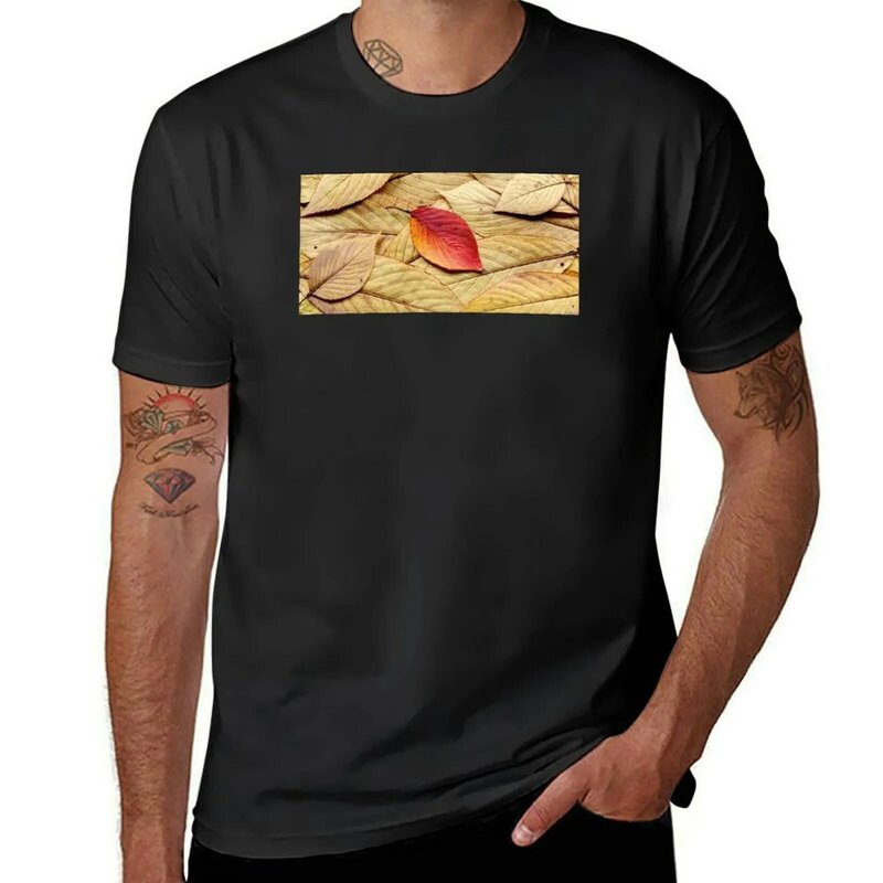 Camiseta masculina com frutas do tear, blusa de outono, tops grandes, outono, folhas 01