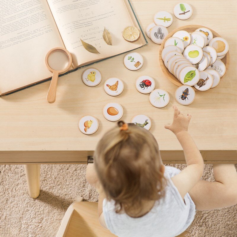 Brinquedos Montessori de madeira para o bebê, ciclo de vida, placa de cognição, brinquedo infantil, treinamento educacional precoce, produto do jogo