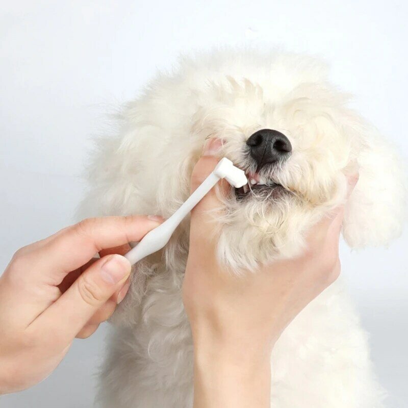 Dogs Care Dogs Toothbrushs Dogs Toothpaste And Toothbrushs Pet Toothbrushs