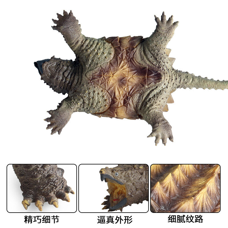 Modello animale d'acqua dolce simulato grande tartaruga di coccodrillo tartaruga tartaruga modello di biologia cognitiva decorazioni giocattolo
