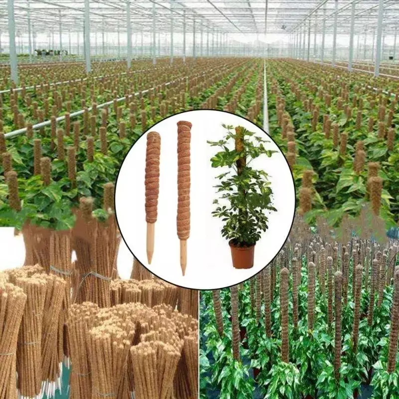 Кокосовая палочка для подъема растений, безопасная Кокосовая палочка для садоводства