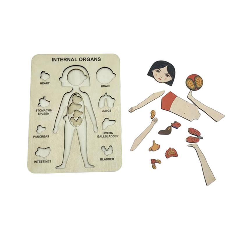 モンテッソーリ-木製パズル,子供向けの教育用人体パズル,木製パズルおもちゃ,女の子のためのシミュレーションゲーム