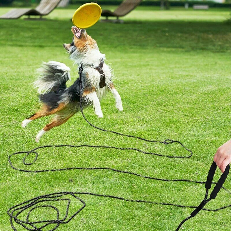ソフトハンドル付きロングドッグリーシュ,反射スレッド,小,中および大型の子犬用トレーニング,ウォーキング用の強力なロープ,3 m, 5m, 10 m, 15m