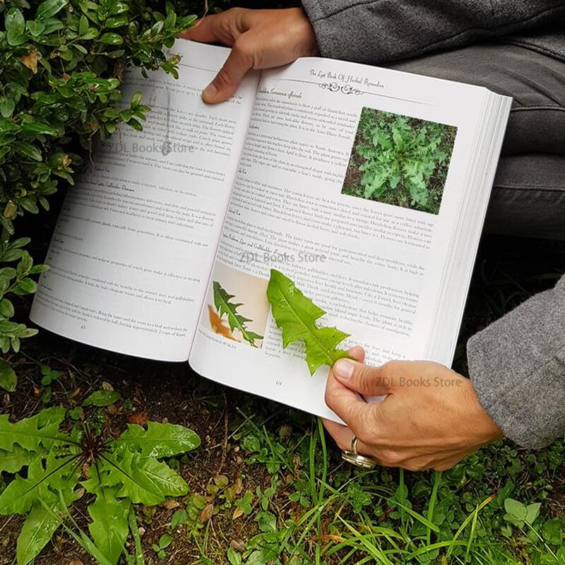 El poder curativo de las plantas, páginas interiores de colores, Libro Perdido de remedios herbales, medicina