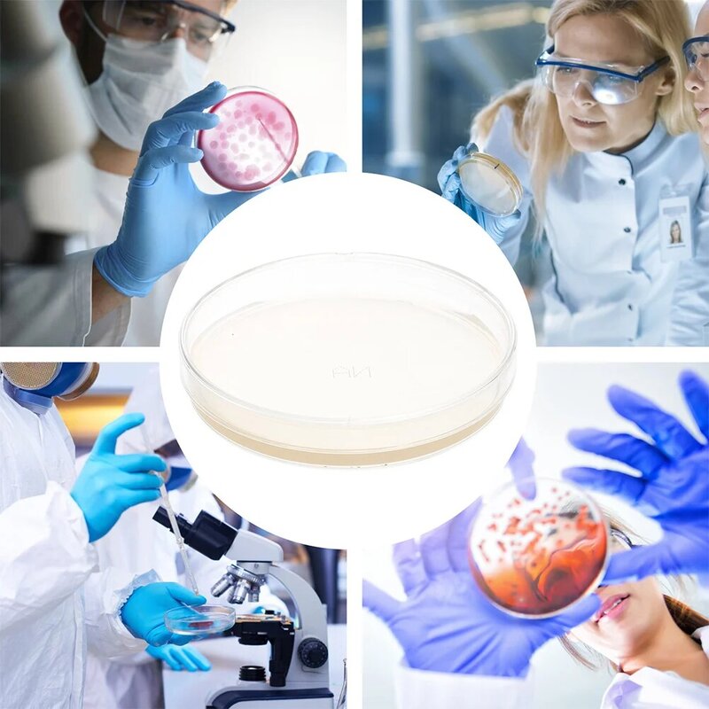 10 stücke vor gegossene Agar platten Agar Petrischalen Gewebekultur platte Agar platten Labor Wissenschaft Experiment liefert