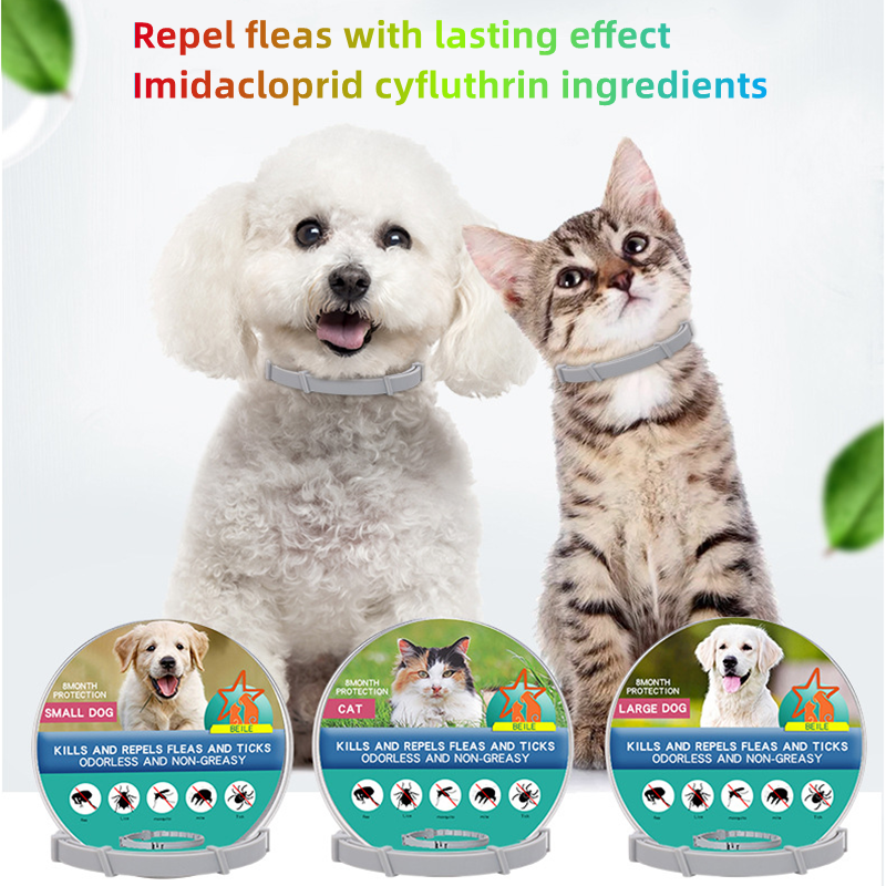 Collar antipulgas y garrapatas para mascotas, protección retráctil de 8 meses, accesorios para cachorros y gatos grandes