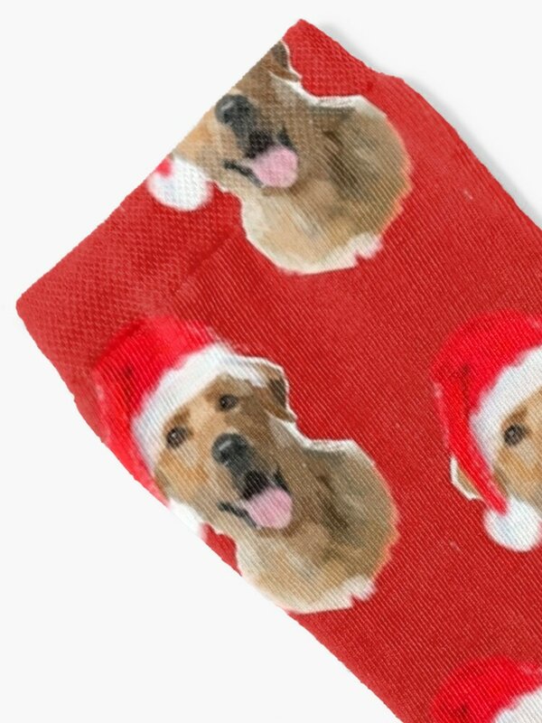 Calcetines de pintura Digital de Labrador Retriever amarillo para hombre y mujer, botas de senderismo, regalo divertido, vacaciones, Navidad