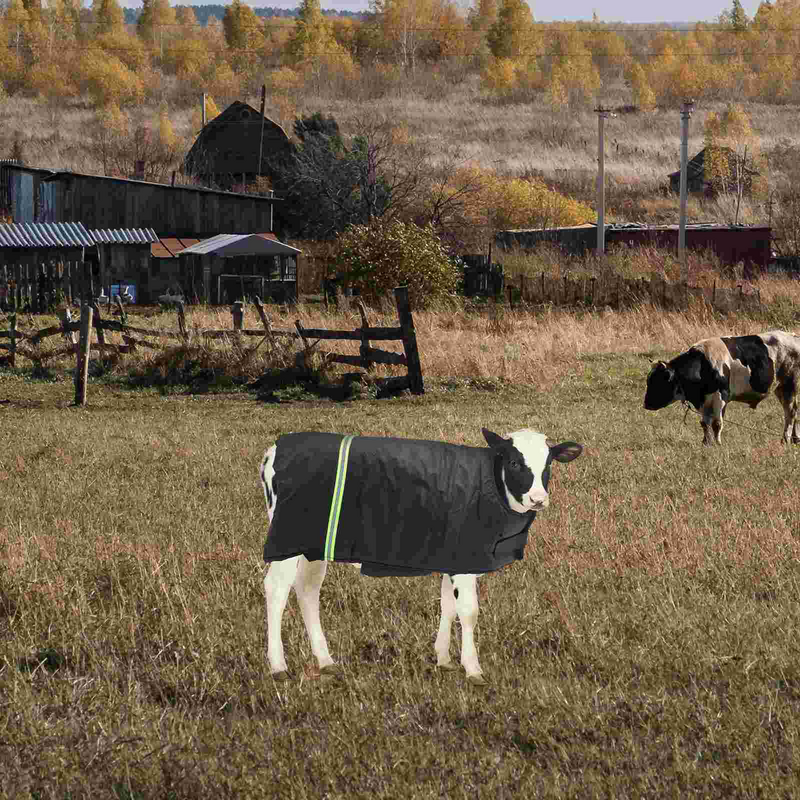 Tanktops Kalb Weste Weide liefert Mantel Winterkleid ung Kuh warme Kleidung Farm bekleidung