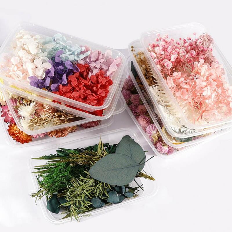 Encantadora arte do prego flor seca, anti-desbotamento, resistente ao desgaste, eco-friendly, diy, artesanato, mini, flor preservada, 1 caixa