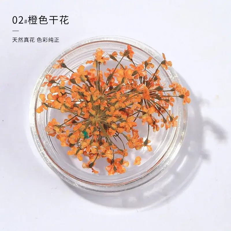 3d flores secas para decoração de unhas, 2 partes de caixa, adesivos diy, acessórios manicure diy