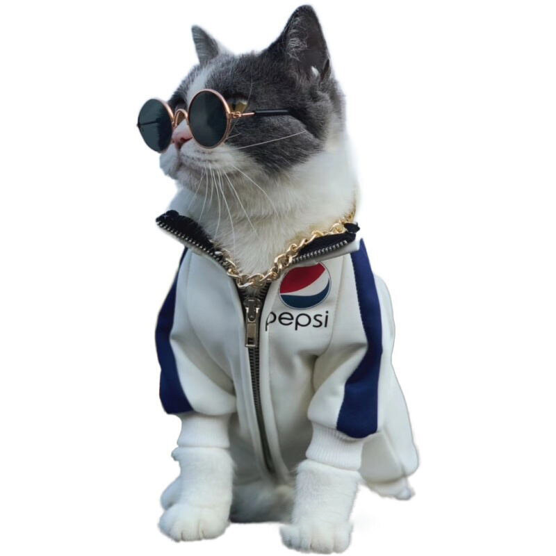 Schöne Vintage Runde Katze Sonnenbrille Reflexion Auge tragen gläser Für Kleine Hund Katze Pet Fotos Pet Produkte Requisiten Zubehör