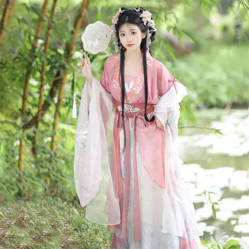 Vestido antigo e tradicional chinês hanfu para mulheres, bordado de fadas, fantasia de dança folclórica, retro, dinastia canção, roxo ha