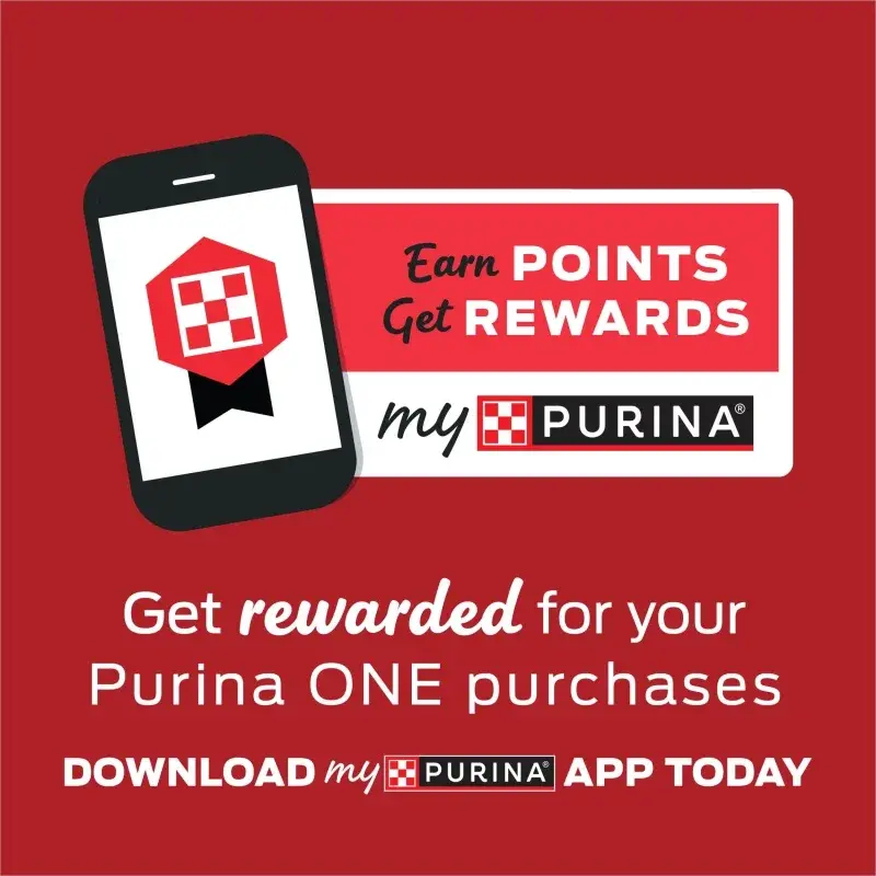 Purina-One True Instinct Dry Dog Food para cães adultos, Real Turquia e Venison, Saco de 15 lb