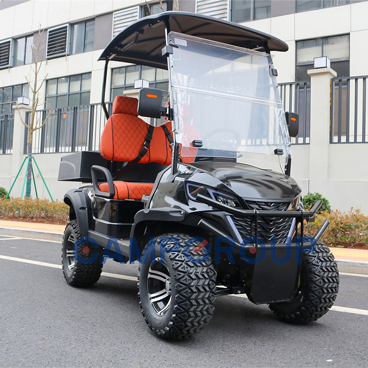CAMP-EV carrinhos de golfe para venda, 2 Seat Golf Cart, Held EV Golf Buggy, gás de caça, atacado, luxo