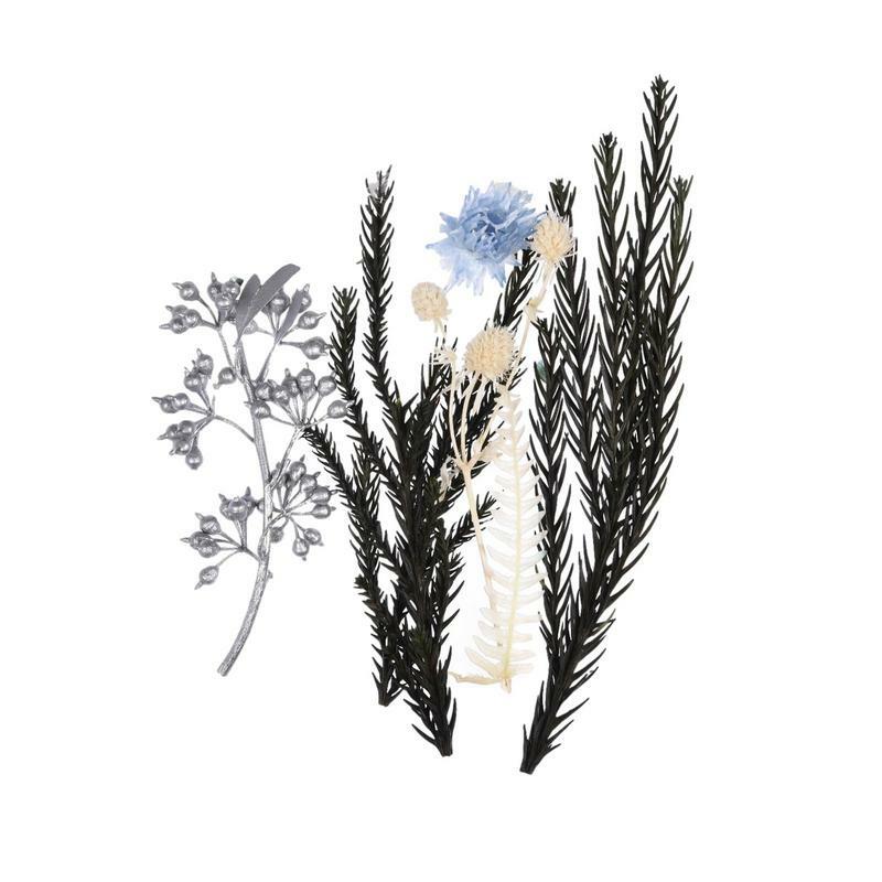 Tanaman Herbarium tanaman bunga kering asli untuk kerajinan perhiasan membuat beberapa bunga kering ditekan untuk Resin lilin DIY