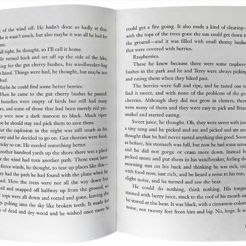Английская версия нового топора, топор для мальчиков, короткий топор, награда Ньюбери, детская книжка с изображением