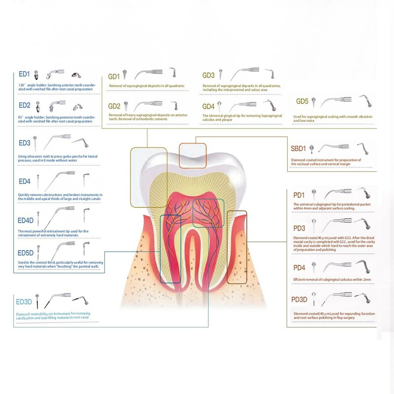 AZDENT-escalador ultrasónico Dental para endodoncia, 1 unidad