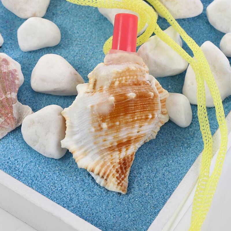 Conch Whistle Survival Tool for Children, Shell Pingente, Artesanato Decoração, Presente Natural, Birthday Toys, Frete Criativo