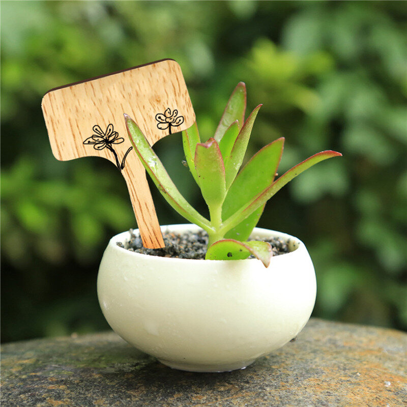 5/10/20/30/50 Stuks T-Type Houtplant Etiketten Milieuvriendelijke Houten Plant Teken Tags Tuin Markers Bonsai Zaad Potkruiden Bloemen