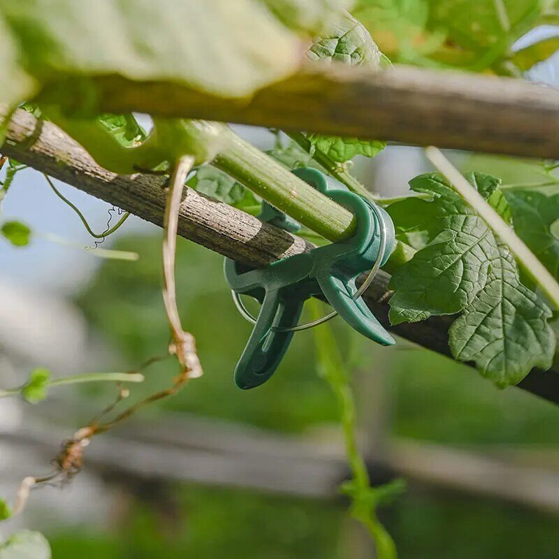 Tanaman klip tetap dapat digunakan kembali rumah kaca taman braket untuk tanaman tetap anggur bibit bunga tomat mendukung persediaan Taman
