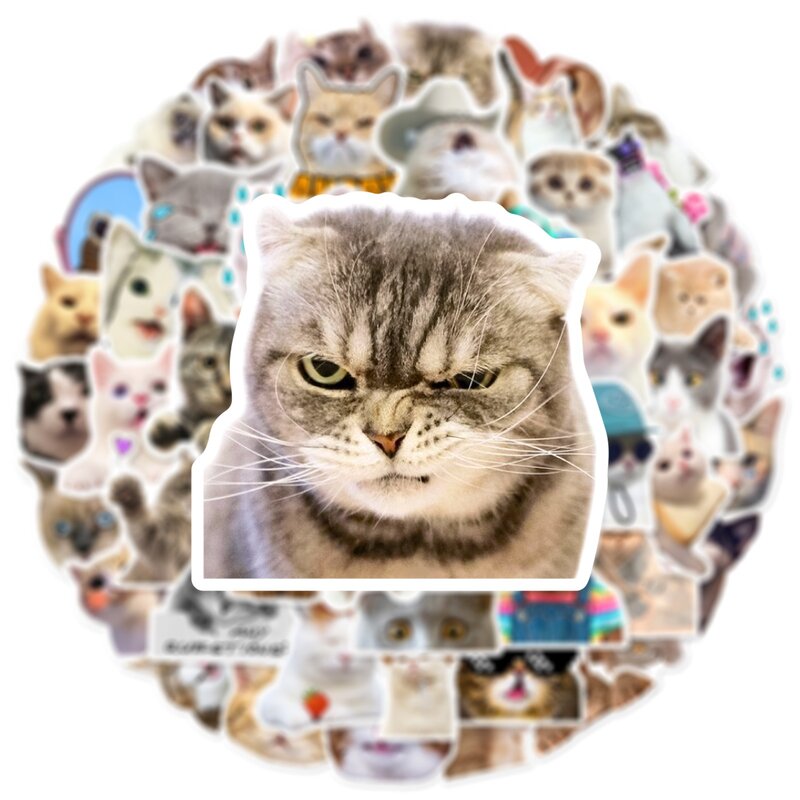 귀여운 고양이 스티커 고양이 MEME 재미있는 데칼, 물병 노트북 스케이트보드 스크랩북, 수하물 전화 스티커, 어린이 장난감, 50 개