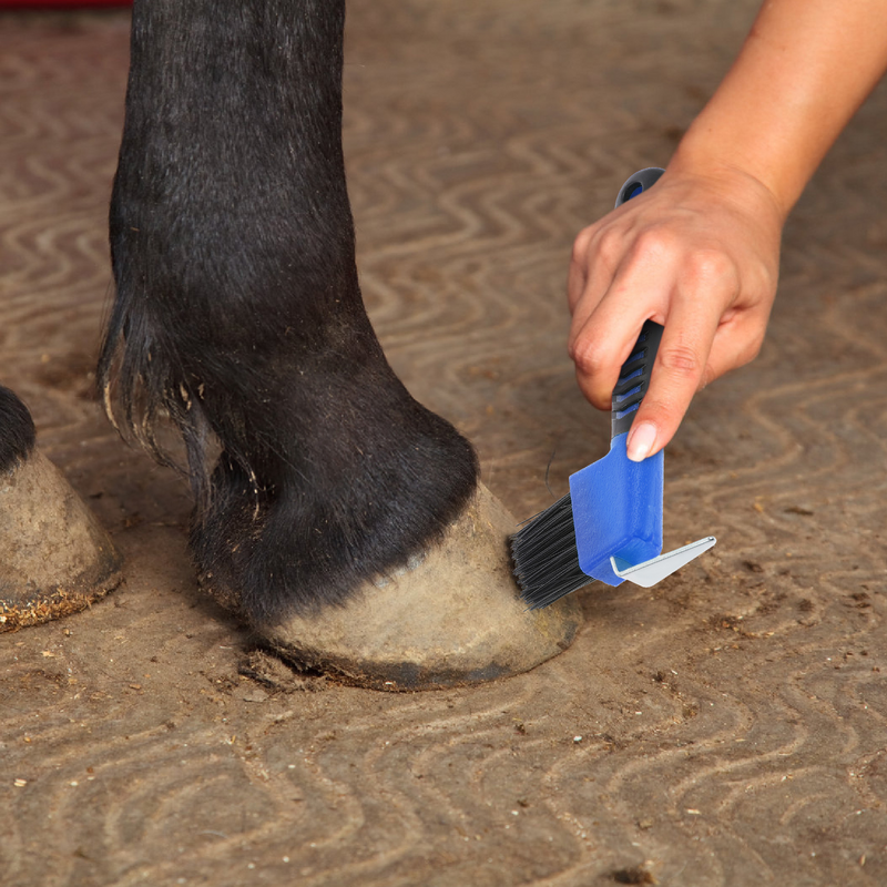 Pegangan antiselip karet Hoof Pick dengan sikat nilon kuda perawatan sepatu kuda sikat profesional alat pembersih