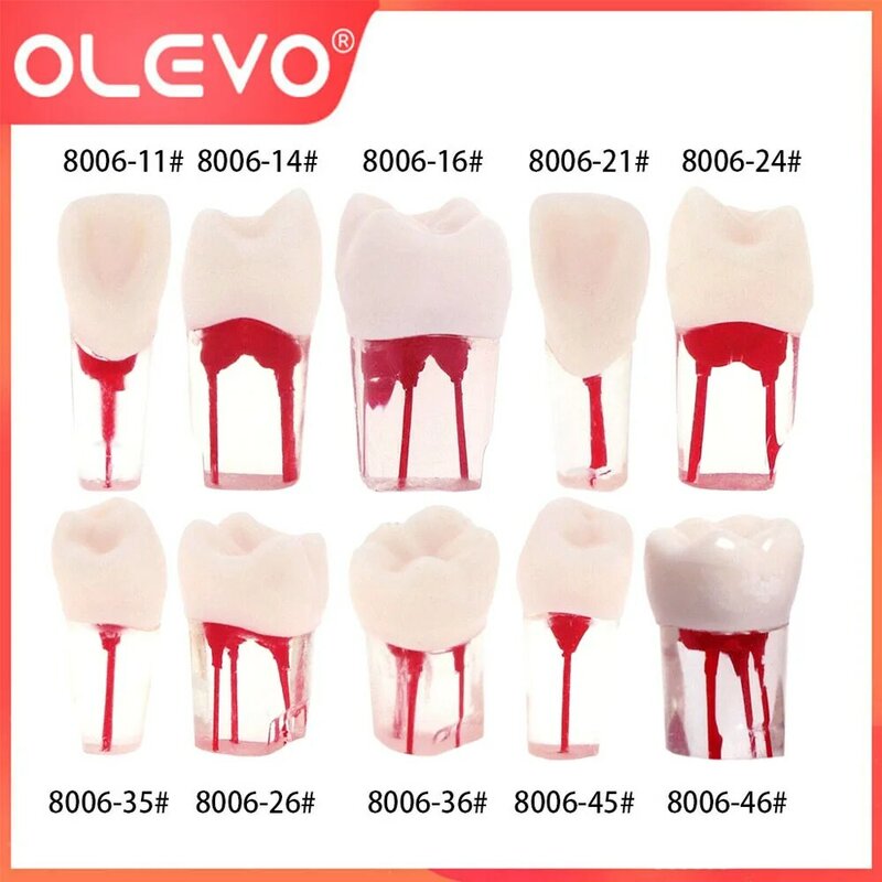 OLEVO blok endodontik, Dental Endo, kikir saluran akar gigi, blok bening Resin Model 10 ukuran bahan kedokteran gigi M8006
