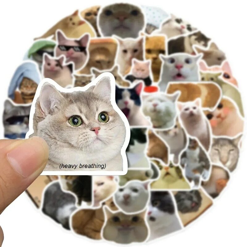 50ชิ้นแมว Meme สติกเกอร์ตลกสำหรับเด็กของเล่นรถจักรยานยนต์แล็ปท็อปโทรศัพท์ DIY กันน้ำกราฟฟิตีน่ารักสัตว์ของขวัญ