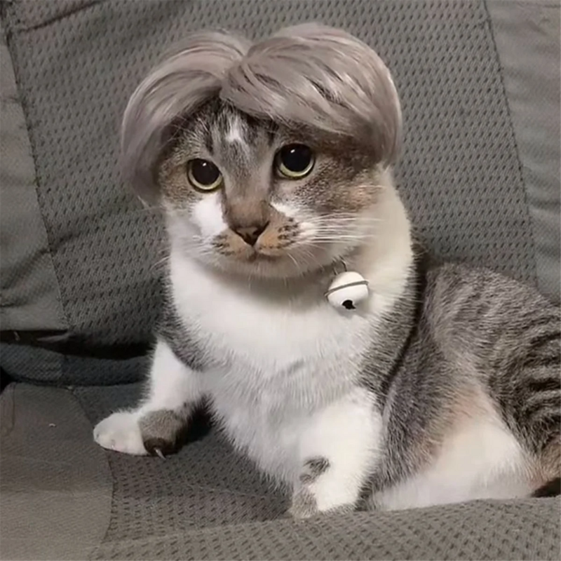B wig hewan peliharaan alat peraga Cosplay anjing kucing lucu topi penata silang rambut kostum kepala aksesori untuk perlengkapan hewan peliharaan Halloween