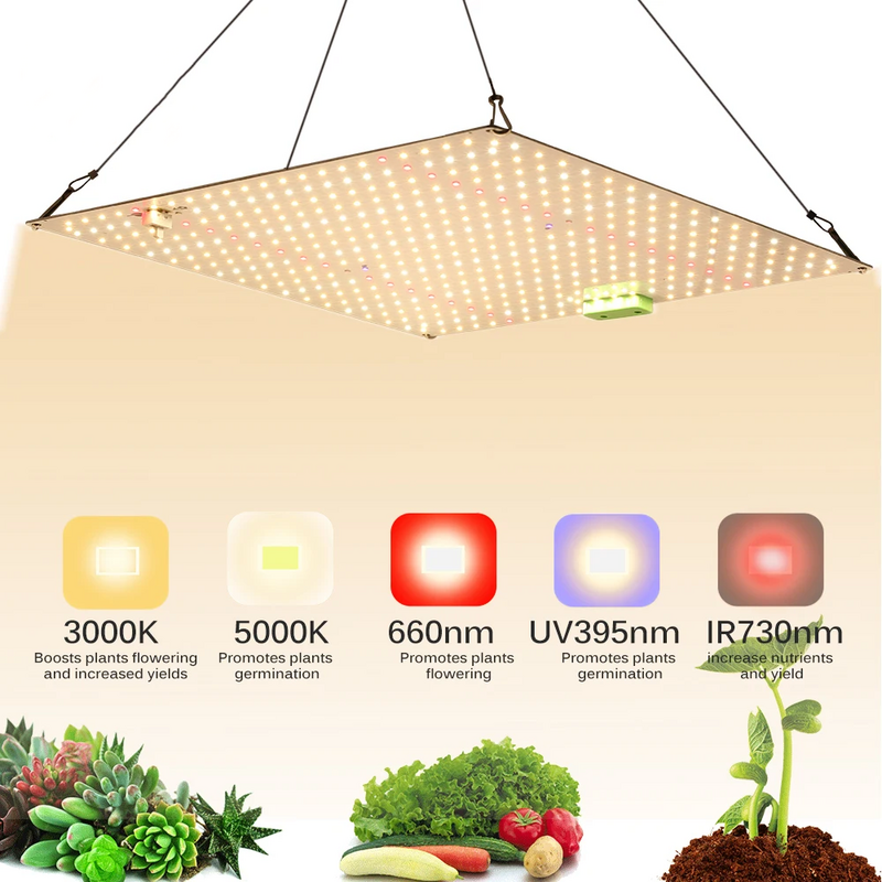 Ppineau Sunlike LED Grow Light pour plantes d'intérieur, éclairage de croissance de fleurs, lampe de croissance de quactus, gradation élevée, plein, LM281B, 65W, 120W